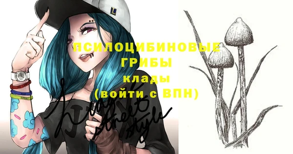 круглые Алексеевка
