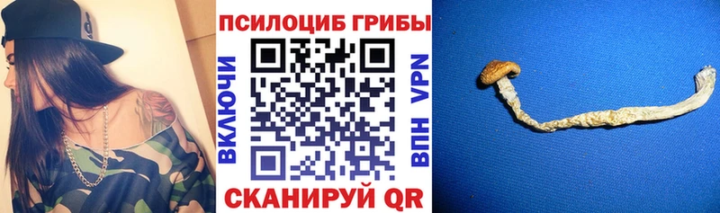 Галлюциногенные грибы мицелий  дарнет шоп  Дудинка 